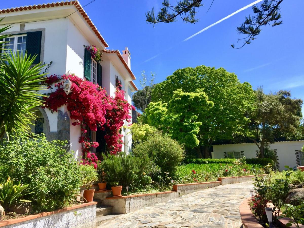 Cascais Seaside Garden Villa Bagian luar foto